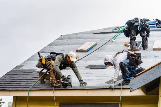 Professional Storm Damage Roof Repair technician working in Highland, NY